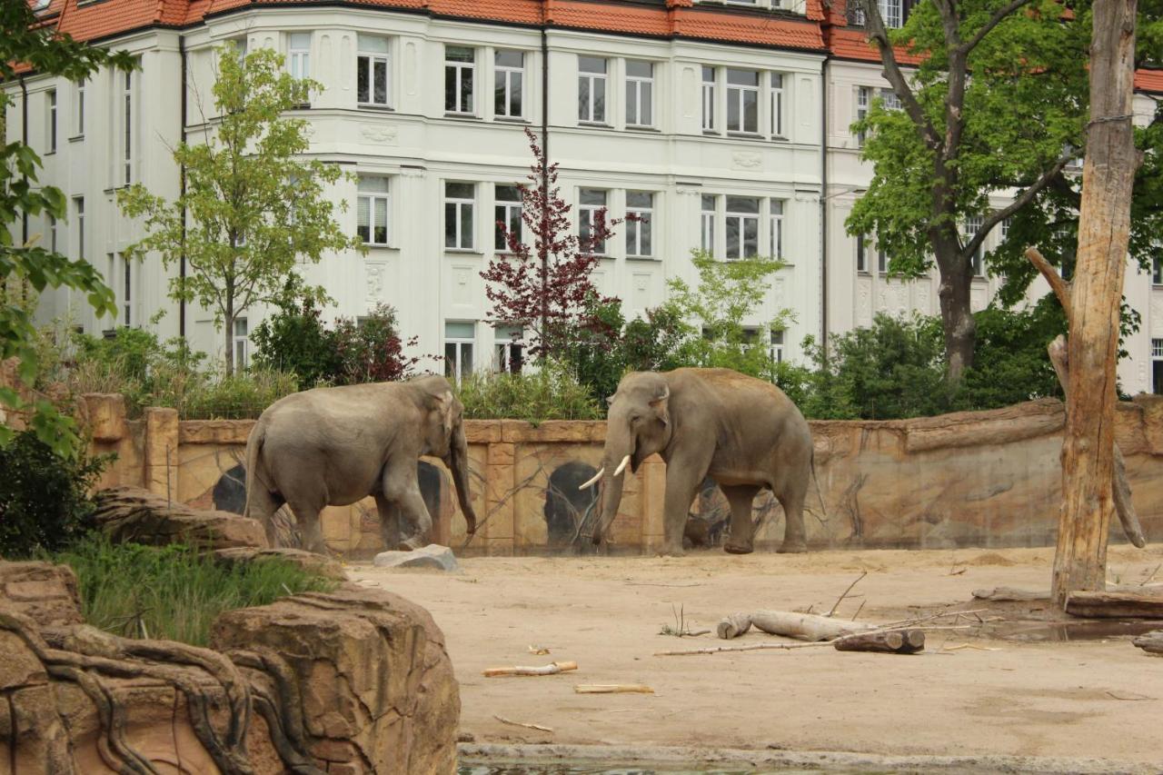 Grosse Wohnung Im Neu-Seen-Land Leipzig Марклеберг Экстерьер фото